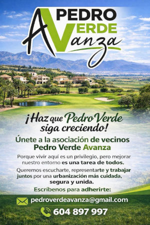 Asociación de Vecino Pedro Verde Avanza