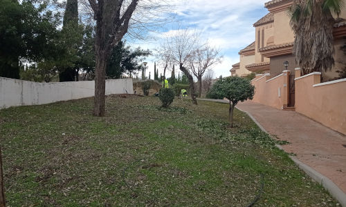 Pedro Verde, mantenimiento jardín vecinal