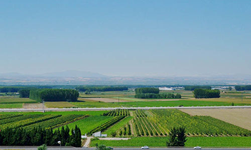 Vista panorámica de la Vega de Granada con cultivos agrícolas.